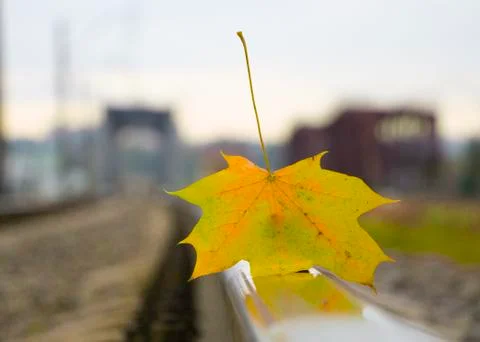 Yellow maple leaf on old rusty rails. Concept of loneliness and the onset of Stockfoto's