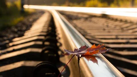 Yellow maple leaf on old rusty rails. Concept of loneliness and the onset of  Stockfoto's