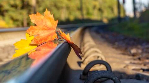 Yellow maple leaf on old rusty rails. Concept of loneliness and the onset of  Stock Photos