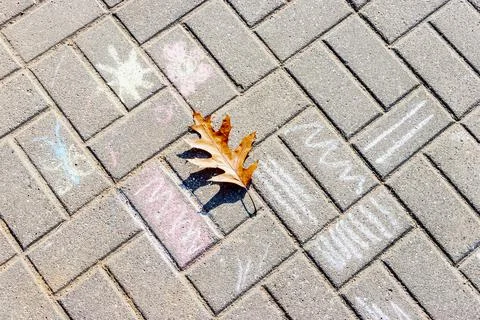 Yellow maple leaf on the sideboard tiles with chalk drawings for children. Stock Photos