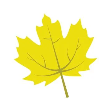 Yellow Maple Leaf Vector Illustration Graphic Stock Illustration