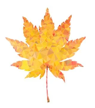 Yellow maple leaf vector polygon isolated 库存插图