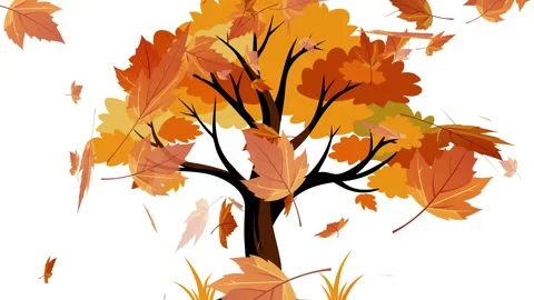 Yellow Maple Leaves Dancing in the Wind, falling leaves, autumn foliage, nature  Stock Footage 299148759