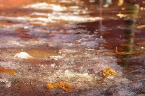 Yellow maple leaves in the puddle and snow on a cobblestone with a sunshine.  库存照片