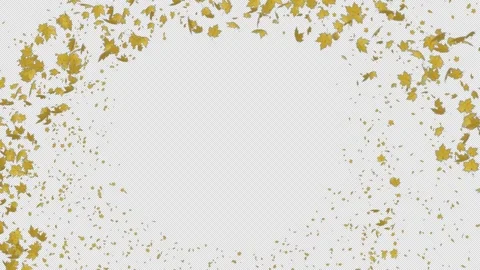 Yellow Maple Trail Circle Alpha Stock Footage 317326434