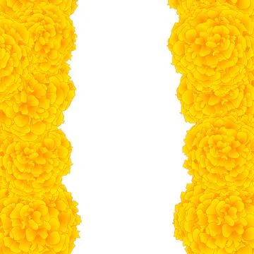 Yellow Marigold Border Stock Illustration