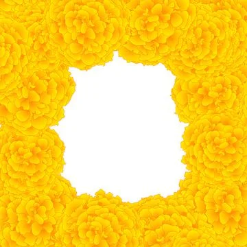 Yellow Marigold Border2 Stock Illustration