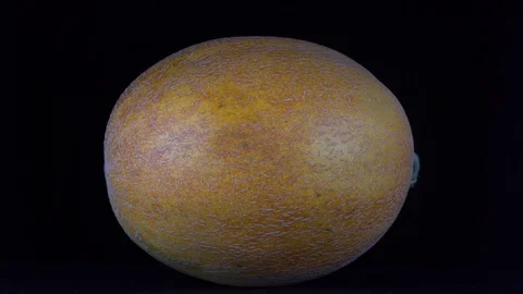 Yellow melon on a black background, close up. Rotates yellow melon Stock Footage 94563237