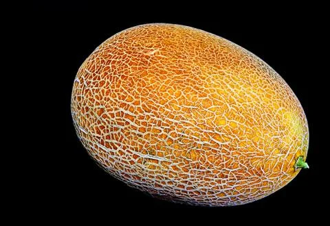 Yellow melon on black background Stock Photos