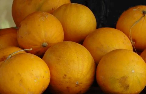 Yellow melon Stock Photos