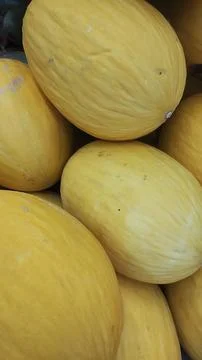 Yellow Melon Stock Photos
