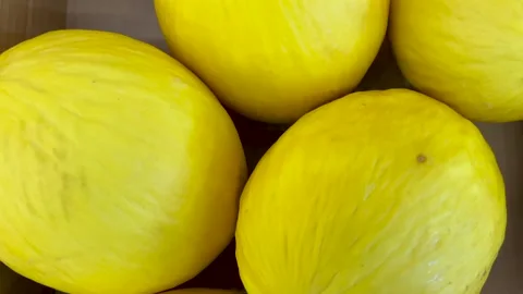 Yellow melon in top view Stock Footage 305495859
