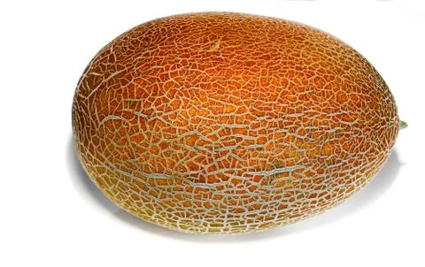 Yellow melon on white background Stock Photos