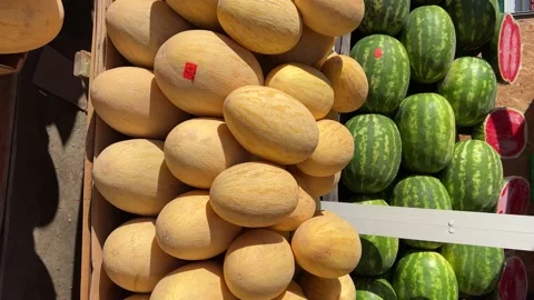 Yellow melons on the counter of the bazaar. Stock Footage 235526140