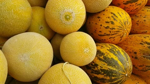 Yellow melons stacked on top of each other Vídeos de archivo 157384961