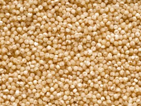 Yellow millet Stock Photos