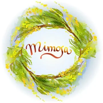 Yellow mimosa background. Stock Illustration