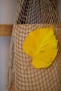 Yellow minimalistic linden leaf on string eco-friendly bag grid, concept of.. Stockfoto's