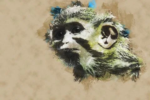 Yellow monkey Illustrazione stock