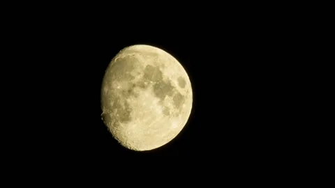 Yellow moon close up on a black background night Stock Footage 98764377