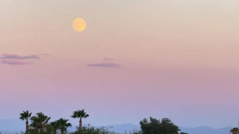 Yellow Moon Rise Stock Footage 288231136
