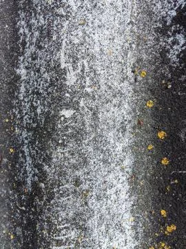 Yellow moss on gray asbestos cement. Stock Photos