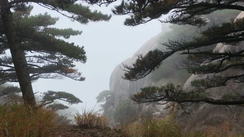 Yellow Mountains Vídeo Stock 122230693