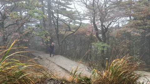 Yellow Mountains Vídeo Stock 122264665