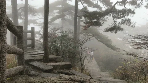 Yellow Mountains Vídeo Stock 122300334