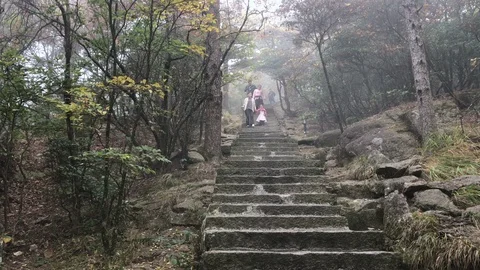 Yellow Mountains Видео 122303482