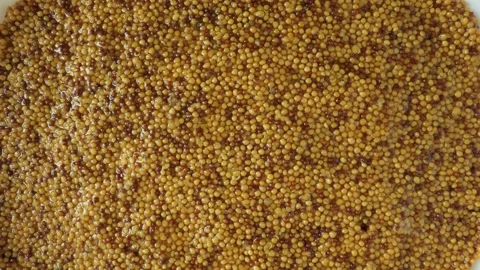 Yellow mustard seeds Stock Footage 336464315