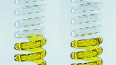 Yellow natural oil flows through a laboratory glass tube. Stock Footage 270162066