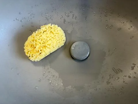 A yellow natural sponge sits inside a wet dark grey sink bowl  Stock Photos