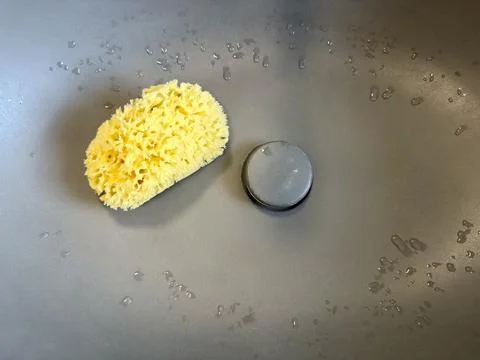 A yellow natural sponge sits inside a wet dark grey sink bowl  Stock Photos