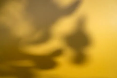 Yellow nature shadow background Stock Photos