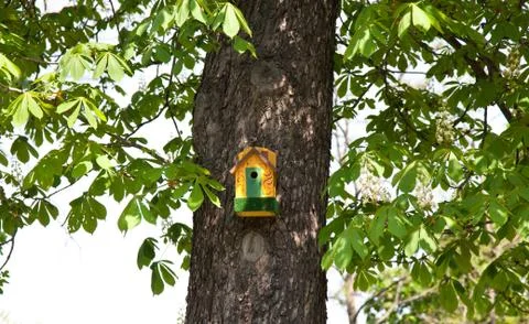 Yellow nesting box 스톡 사진