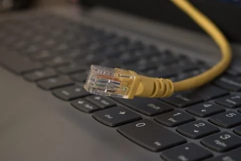 .Yellow network cable for computer with plastic connector Stock Photos