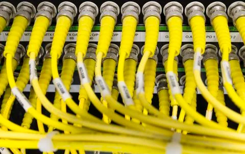 Yellow Network cables connected to the server Fotos Stock