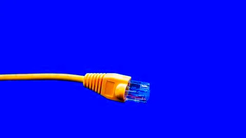 Yellow network 스톡 사진