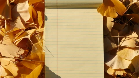 Yellow note pad on a many of ginkgo leaves Stockbeeldmateriaal 162638942