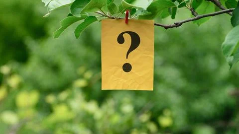 A yellow note with the Question mark on it clipped to a green tree branch. Stock Photos