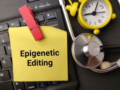 A yellow note reading Epigenetic Editing is clipped near a computer keyboar.. Stock Photos