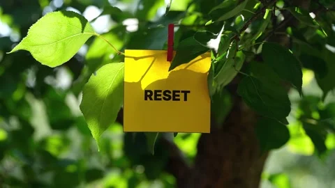 A yellow note with the word RESET pinned to a green tree branch. Stock Footage 342833744