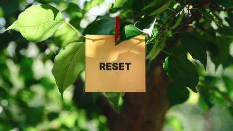 A yellow note with the word RESET pinned to a green tree branch 写真素材