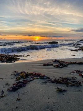 Yellow Ocean sunset with ocean waves and sandy beach Stock Photos