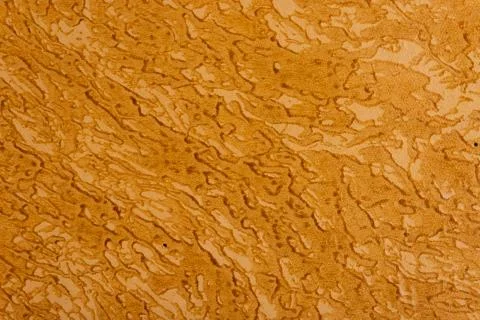 Yellow old background with texture. Abstract background. Stock Photos