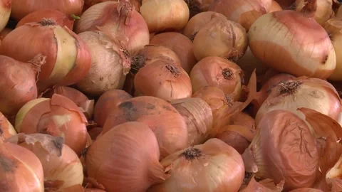 Yellow Onion Video stock 160609622