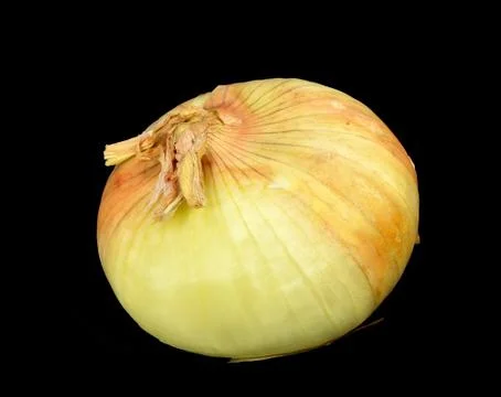 Yellow onion Stock Photos