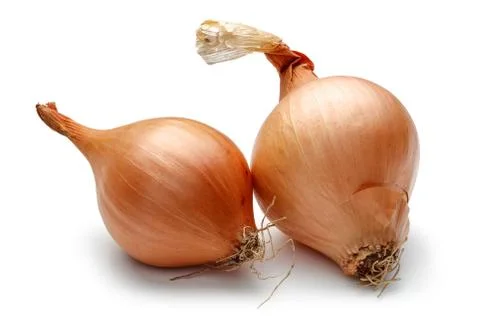 Yellow onion on white background Stock-Fotos