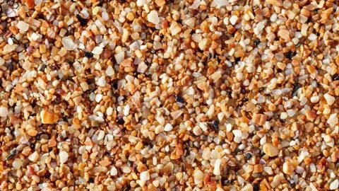 Yellow or  beach sand from small parts of shells moving sideways Stock-Footage 255033385